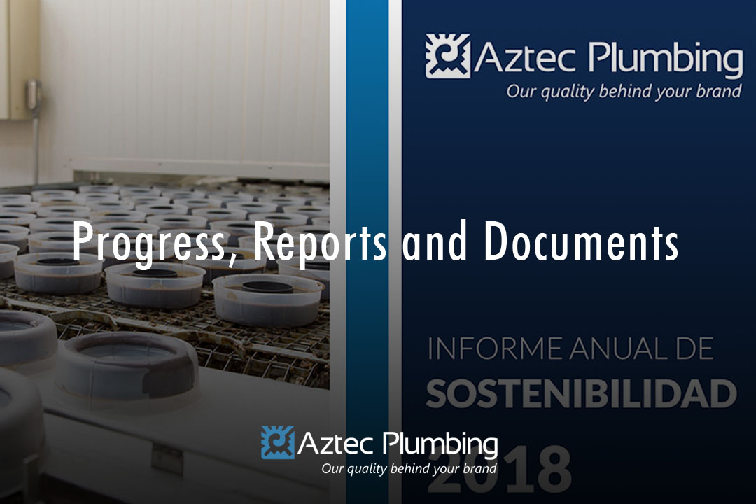 reports-eng